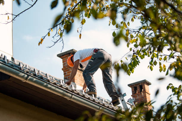 Quick and Trustworthy Emergency Roof Repair Services in Ogden, NC