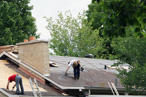 Best Roof Waterproofing Services  in Ogden, NC